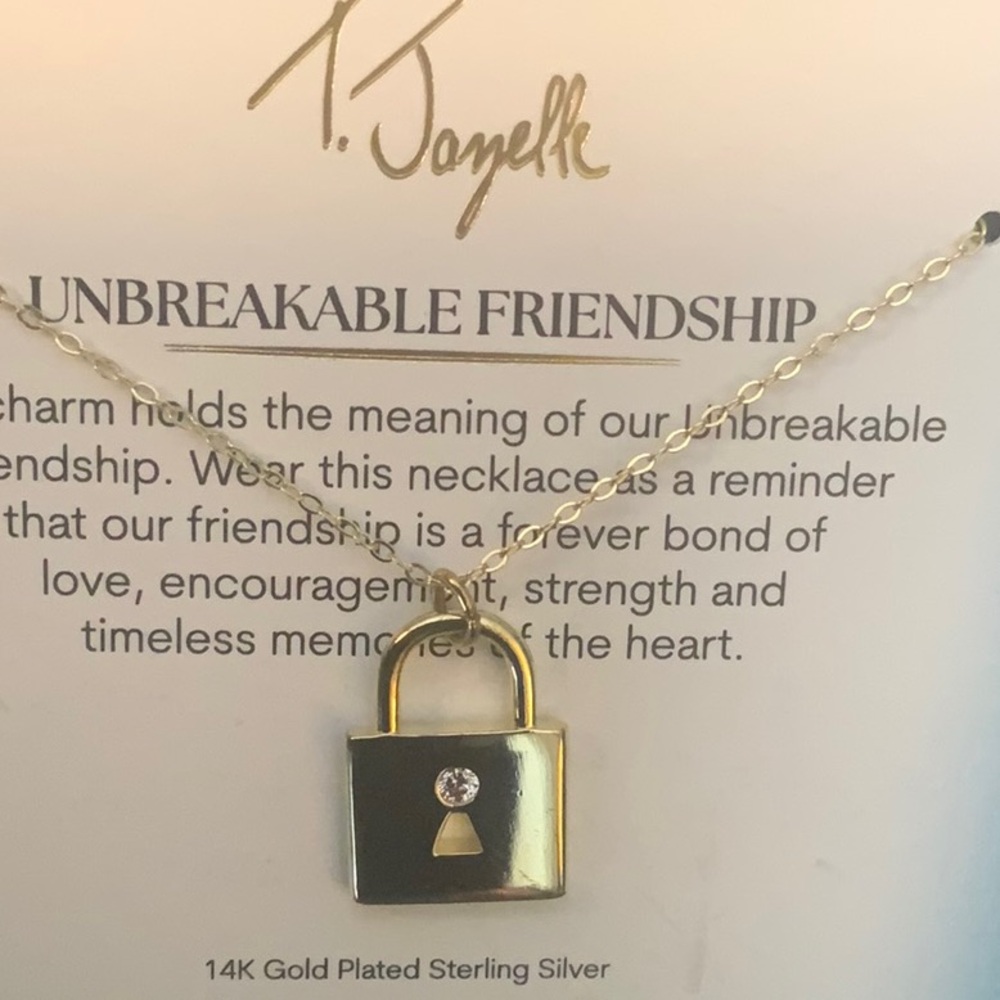 Gold with stone Friendship Necklace
